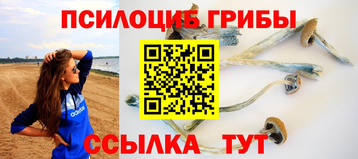 Псилоцибиновые грибы прущие грибы  Вход с VPN  Сызрань 